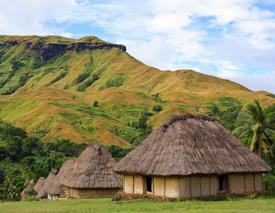 Fiji: Navala Village Cultural Tour & Traditional Lunch - Traditional lunch and the story behind the food