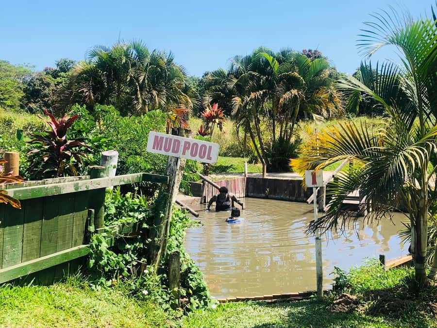 FIJI: Sabeto Hotspring & Mudpool Tours, Tickets & Transfers - Key details before you book