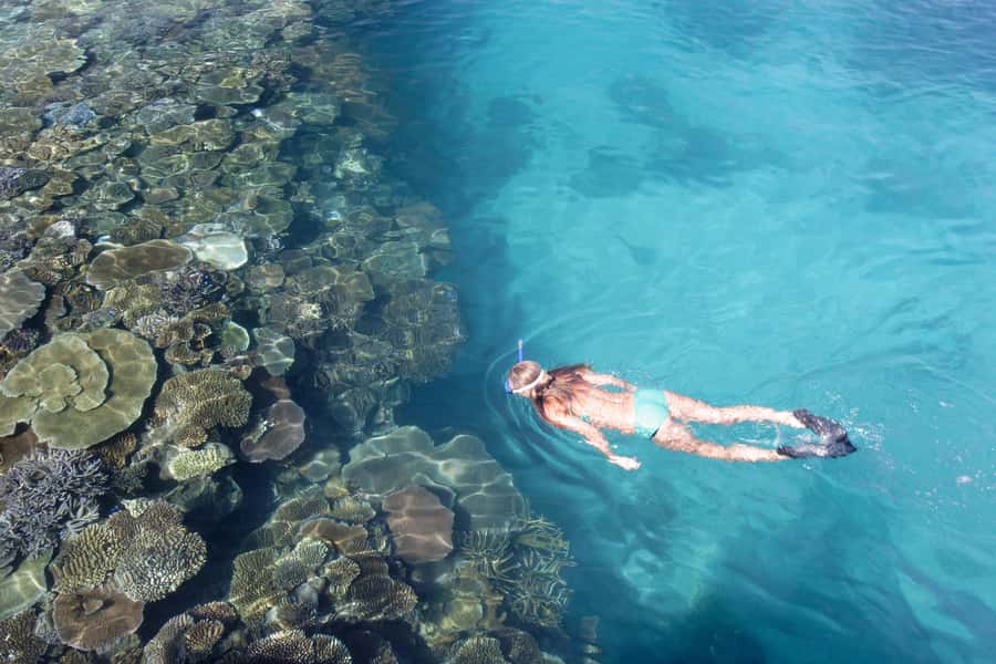 Fiji: South Sea Island Combo Half Day Trip Lunch & Drinks - Making the most of your island hours
