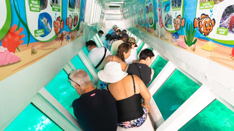 Fiji: South Sea Island Half-Day Trip with Lunch - Timing, Weather, and What to Pack