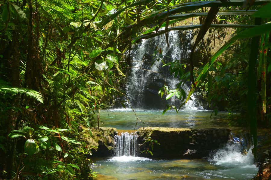 Fiji: Suva Village Tour - My practical booking advice
