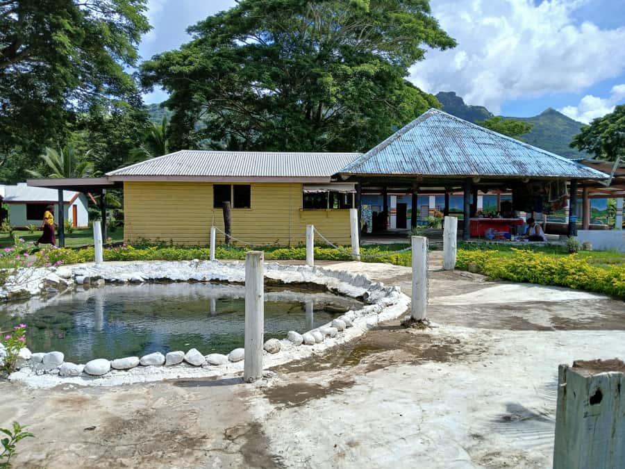 Fiji: Tifajek Mud Pool & Hotspring Tours & Tickets - Who will enjoy Tifajek most