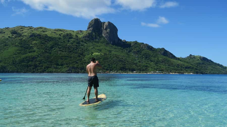 Fiji: Ultimate Encounters Snorkel with Sharks and Lunch - What the sharks are like underwater