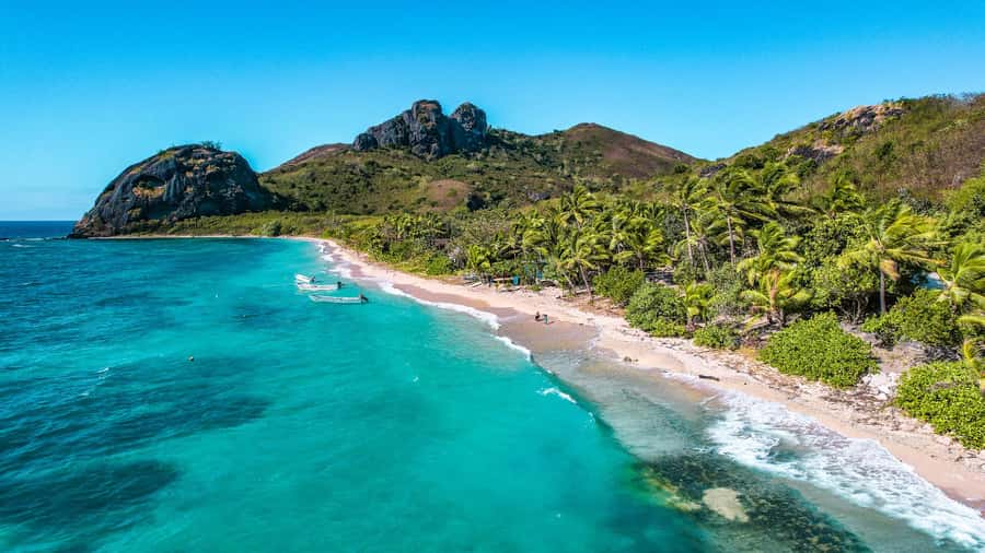 Fiji: Ultimate Encounters Snorkel with Sharks and Lunch - Should you book the Barefoot Kuata shark snorkel?