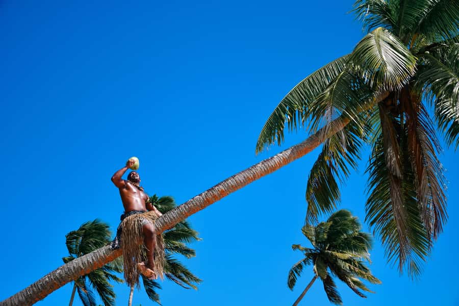 Fiji: Village & Mud-Crab Catching Tour - The barbecue and crab cooking lesson