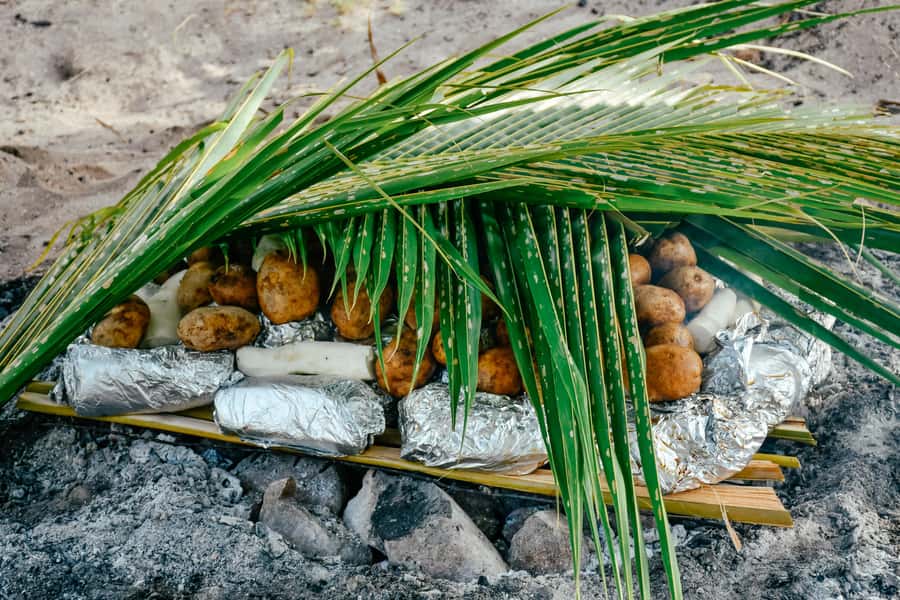 Fiji: Village & Mud-Crab Catching Tour - The long return and why timing matters