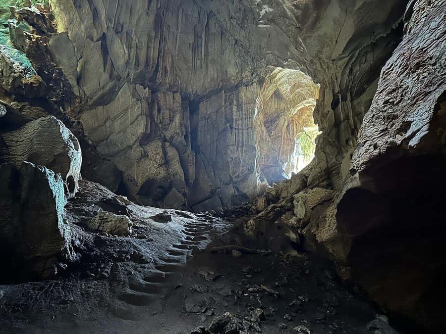 Fiji: Zipline Adventure and Cave Exploration - The uphill start through Vesi trees