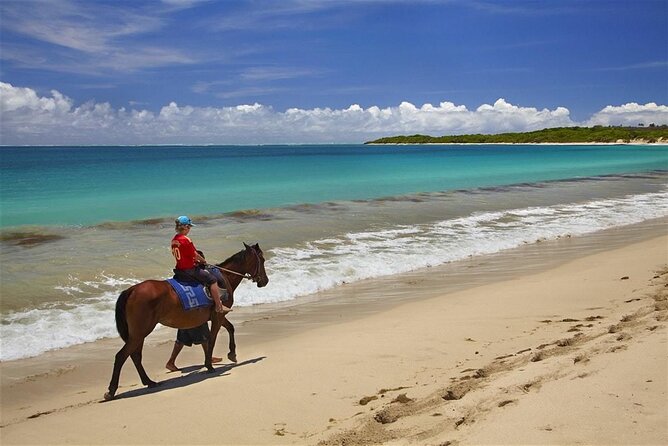 Fijian pottery crafting Village Experience & Natadola Beach Tour - Who will enjoy this most