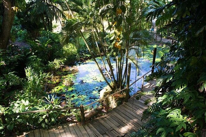 Full Day Discover Nadi Tour ( From Sigatoka Coral coast Hotels ) - What the $103.48 price really covers