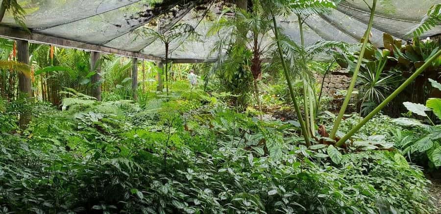 Garden of Sleeping Giant with Sabeto Hotspring Mudpool Tour - Practical packing advice for a less messy day