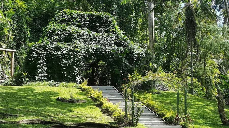 Garden of Sleeping Giant with Sabeto Hotspring Mudpool Tour - Warm pools with a practical warning
