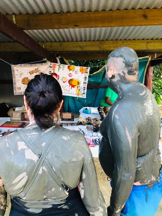 Garden of Sleeping Giant with Sabeto Hotspring Mudpool Tour - How the timing affects your day