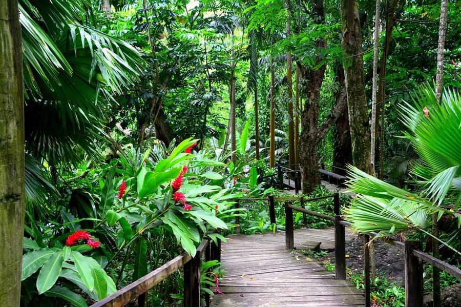 Garden of Sleeping Giant with Sabeto Hotspring Mudpool Tour - Who will enjoy this tour most