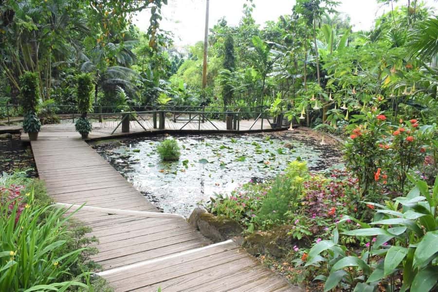 Garden of Sleeping Giant with Tifajek Mudpool Hotspring Tour - Who will enjoy this half-day outing most