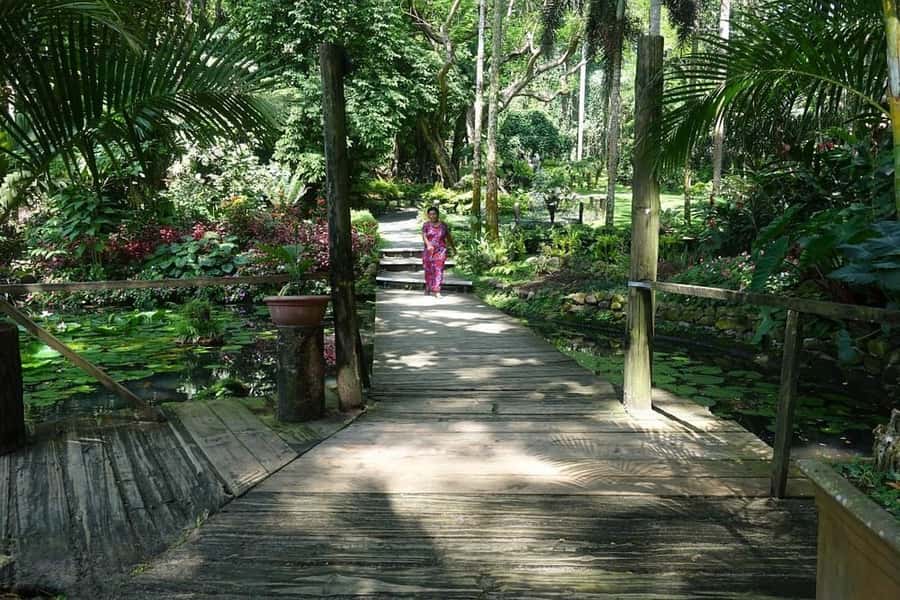 Garden of Sleeping Giant with Tifajek Mudpool Hotspring Tour - Should you book the Garden of the Sleeping Giant and Tifajek tour?