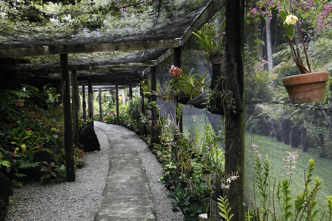 garden of the sleeping giant and mudpool tour combo - Two very different stops near Denarau