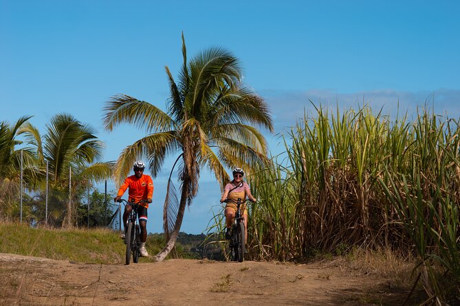 Guided E-bike Tour - Why this ride shows you a different Fiji