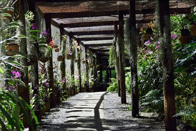 Half Day Mudpools, Veseisei Fijian Village, Gardens of Sleeping Giants &Shopping - Timing, transport, and group size