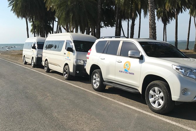 Half Day Nadi Sightseeing & Mud Pool Tour - The driver can shape the whole experience
