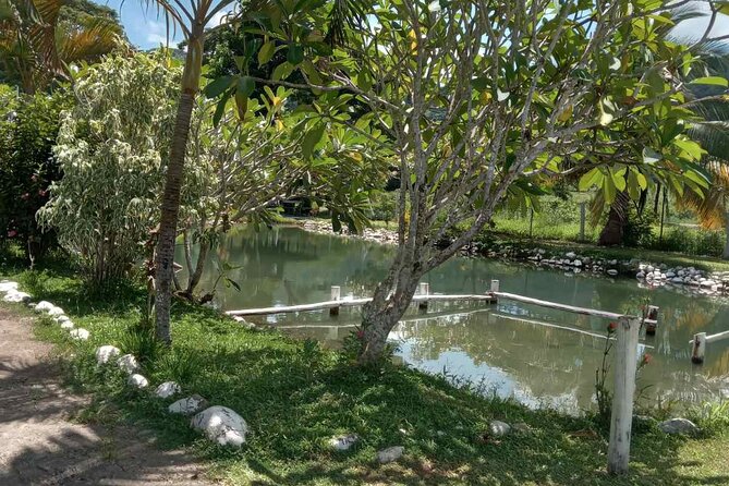 Half Day Nadi Tour Temple, Market, Gardens and Mud Pools - Garden of the Sleeping Giant and its orchid collection