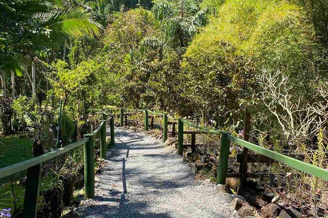 Half Day Nadi Tour Temple, Market, Gardens and Mud Pools - Sri Siva Subramaniya Swami Temple: a calm and colorful beginning