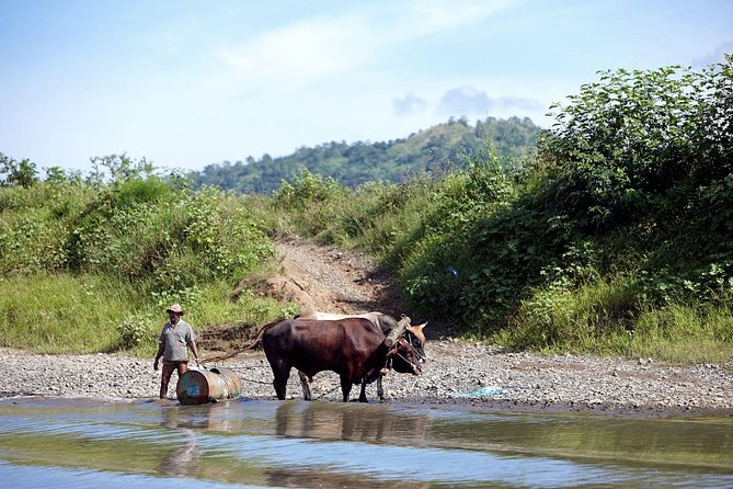 Half Day Sigatoka River Jetboat & Village Tour with Lunch & Transfers - Traditional lunch and the late-meal warning
