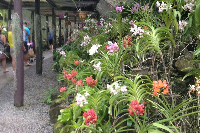 Half Day Sightseeing - Wonders of Nadi Tour - How the $77.61 price holds up