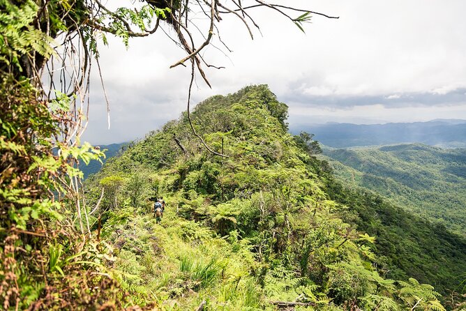 Hiking Adventure including Fiji's Highest Mountain and 3 Nights - Five things to know before you book
