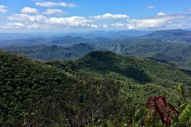 Hiking Adventure including Fiji's Highest Mountain and 3 Nights - Why this four-day Fiji trek feels different