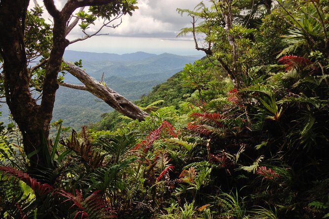 Hiking Adventure including Fiji's Highest Mountain and 3 Nights - Day 1: 4WD roads and the Navai village stay