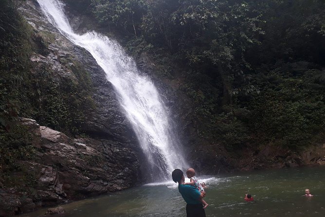 iconic waterfall tour - The rainforest walk to the waterfall