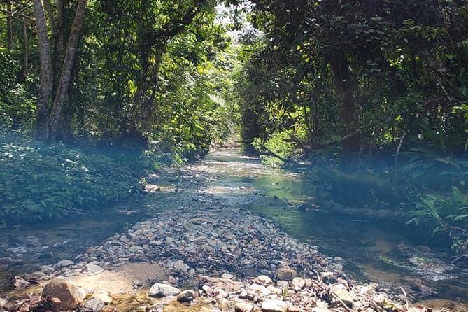 iconic waterfall tour - Is $86.84 good value?