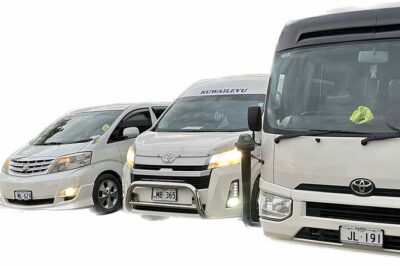 Intercontinental Fiji Golf Resort to Nadi Airport – Private Vehicle