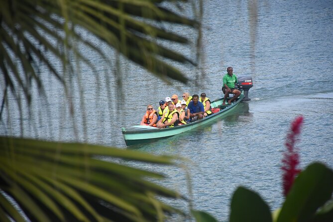 Jewel Of Fiji Day Tour from The Marriot & Shangri-La Resort - The 45-minute boat ride up the Navua River