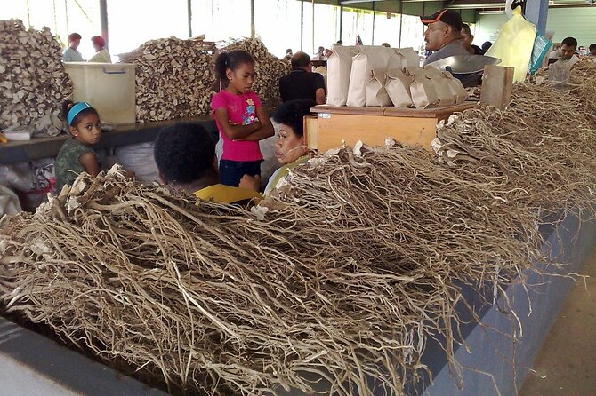 Kava Factory Tour and Flavored Kava Tasting Experience - Key points at a glance