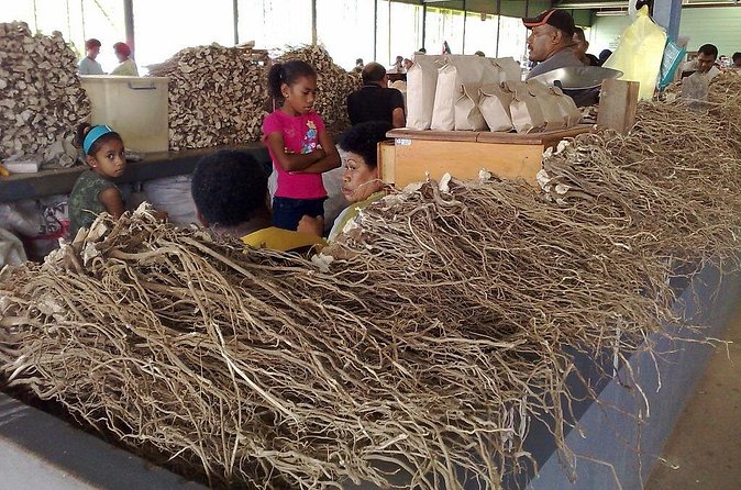 Kava Factory Tour and Flavored Kava Tasting Experience - Is $44.78 a fair price?