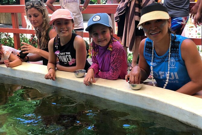 Kula Eco Park Admission - Turtle feeding at the outdoor reef pool