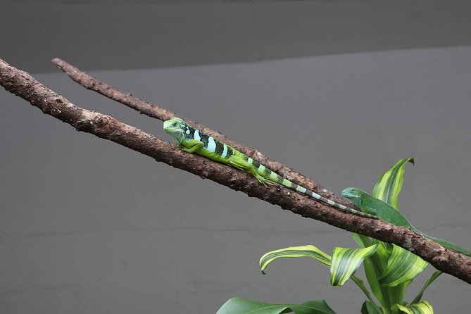 Kula Eco Park Admission - Food, restrooms, and staying longer