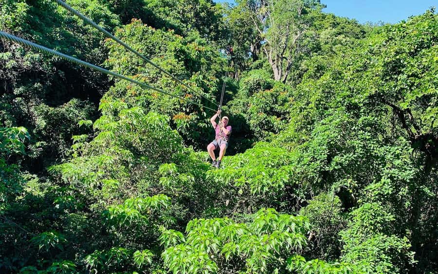Largest Zipline & Cave Exploration from sigatoka coral coast - From Vesi Trees to Rain Trees