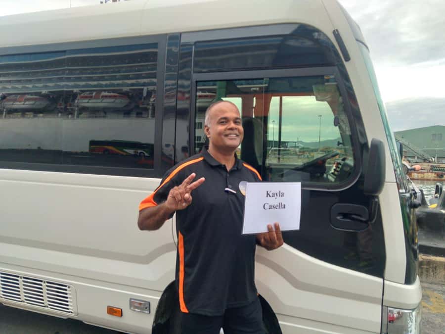 Lautoka Cruise Ship to Natadola Beach Round Trip - What $352 means for a private group