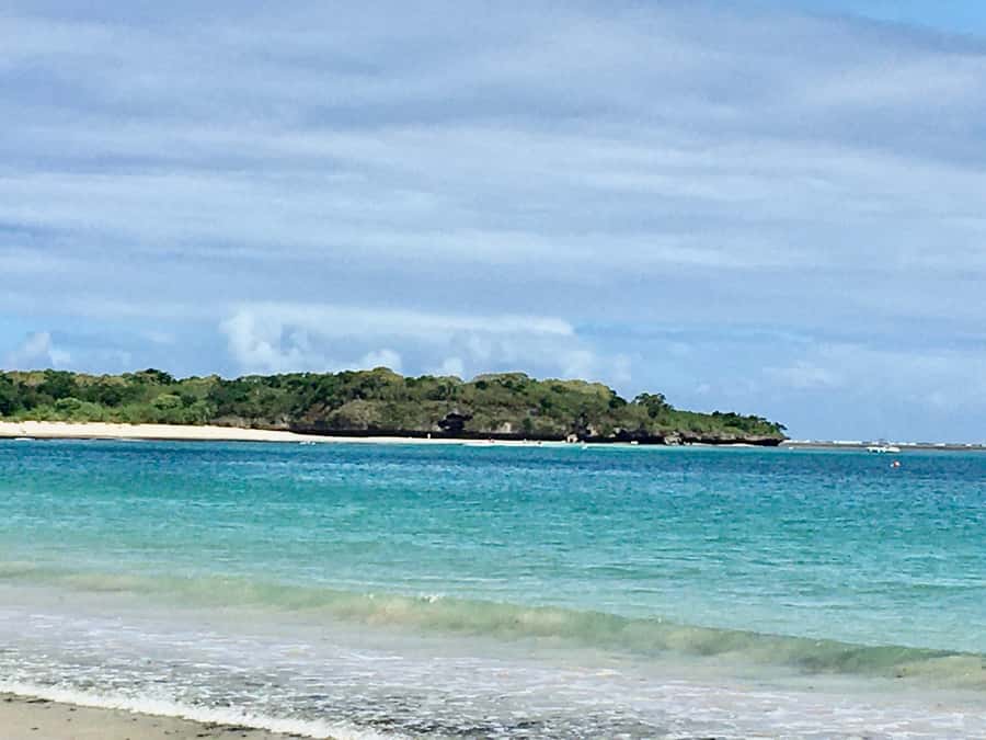 Lautoka Cruise Ship to Natadola Beach Round Trip - Who will enjoy this trip most