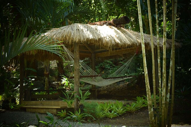 Mud Pools, Gardens, Markets, Temple & Shopping-Nadi Tour half day - Sabeto’s thermal mud pools: the tour’s most unusual stop
