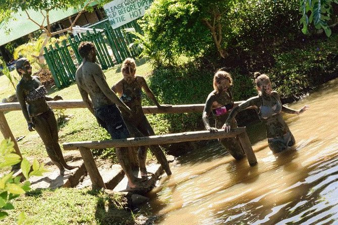 Mud Pools-Nadi Private Therapeutic Pools, Gardens, Temple, Market &Shopping Tour - Starting with Nadi’s markets and local shopping