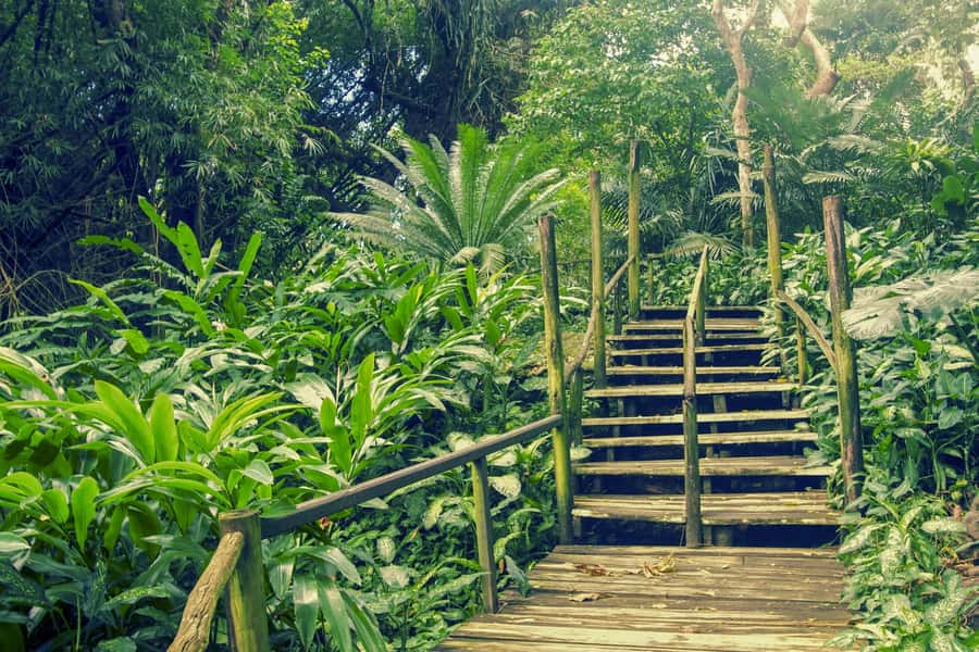Nadi: Garden Village Hot Spring & Temple Highlights Tour - Key points at a glance