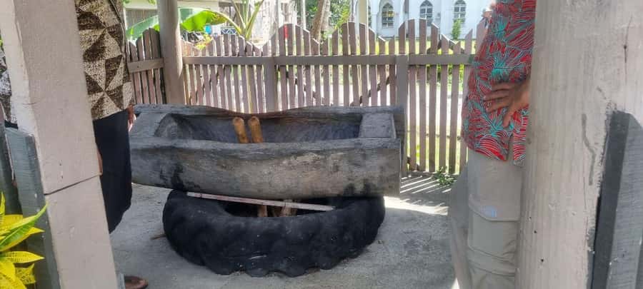 Nadi: Garden Village Hot Spring & Temple Highlights Tour - Viseisei Village: the cultural heart of the morning