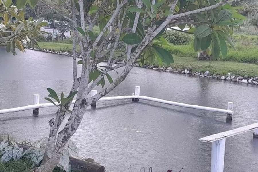 Nadi: Garden Village Hot Spring & Temple Highlights Tour - Garden of the Sleeping Giant: orchids, paths, and a short walk