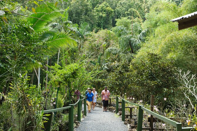 Nadi Heritage Tour - The $86 price: fair value with one missing meal