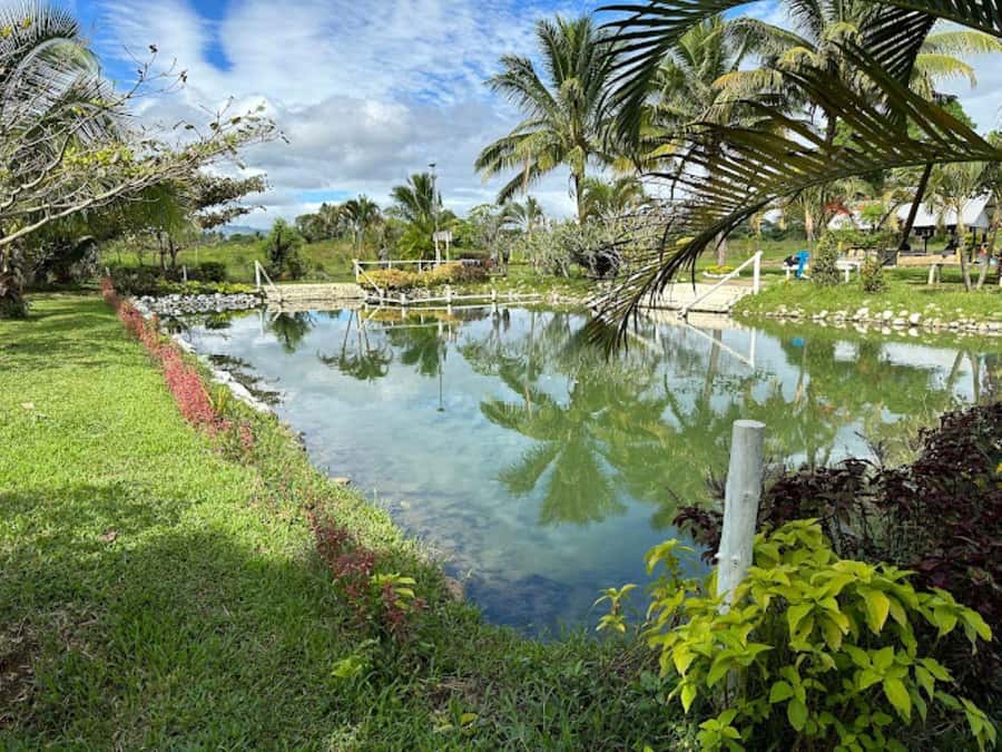 Nadi: Mud Pool and Hot Spring Private Tour - Key points at a glance