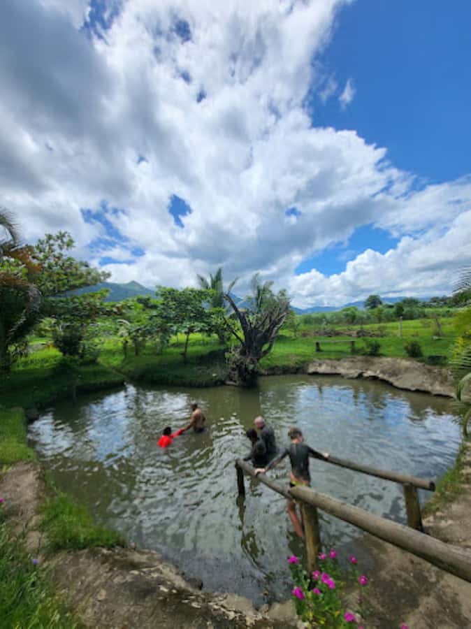 Nadi: Mud Pool and Hot Spring Private Tour - The hot spring rinse and relaxation