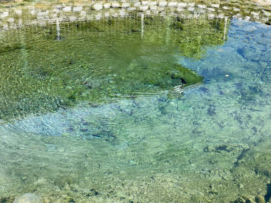 Nadi: Mud Pool and Hot Spring Private Tour - Taking in the Sleeping Giant Mountain setting